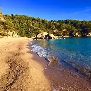 bungalow-cala-canyelles.topcostabravahotels.com/